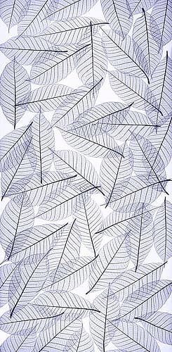 USA- Washington State- Seabeck. Black and white pattern of skeletonized leaves. Places Print